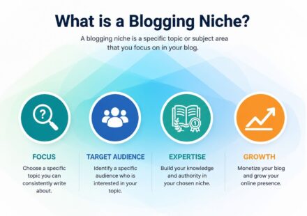 What is a blogging niche infographic showing focus, target audience, expertise, and growth for successful blogging