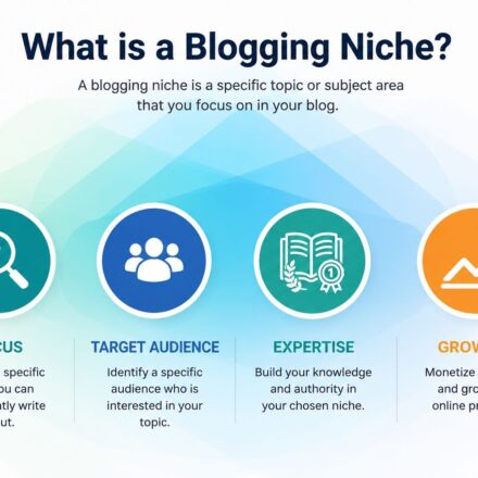 What is a blogging niche infographic showing focus, target audience, expertise, and growth for successful blogging